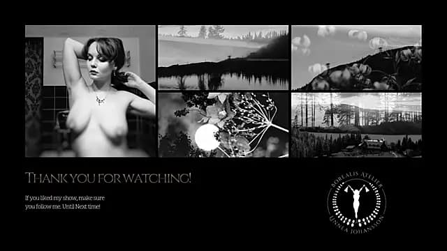 Borealisatelier live cam