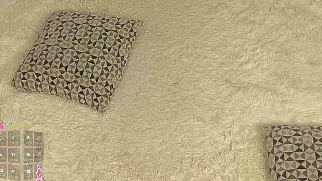 MaraBrookfieId live cam