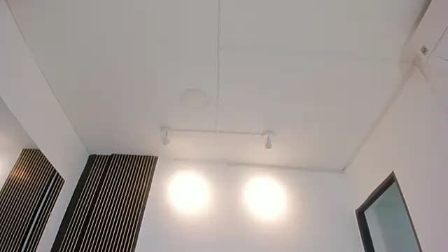 Littlee___Molly live cam