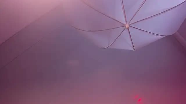 lauren_bigboobs22 live cam