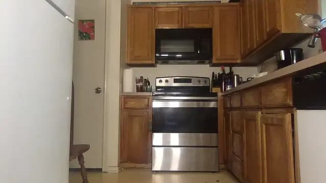 DiamondMonroeXo live cam