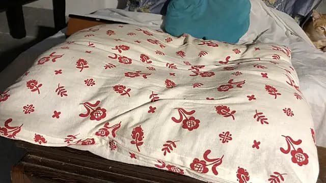 RiderFloor live cam on Stripchat