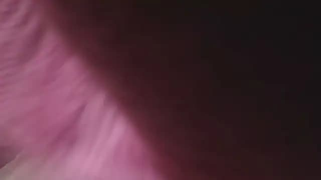 SexyPureFire001 live cam