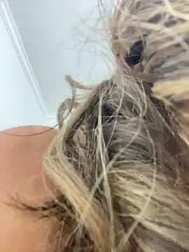 DulceRodriguez1 live cam