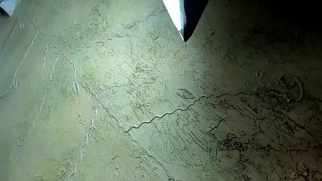 JeniferPowell_nm live cam