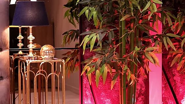 HaylieMilf live cam on Stripchat