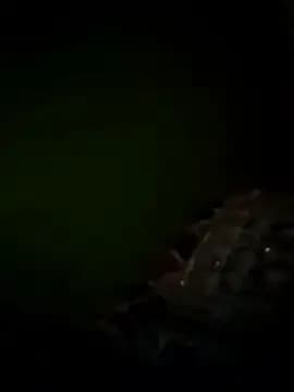 Tamanna-Bhatia live cam