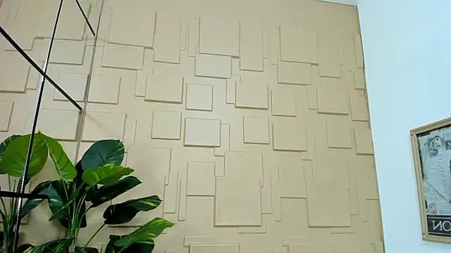 AkyraEbonyy live cam