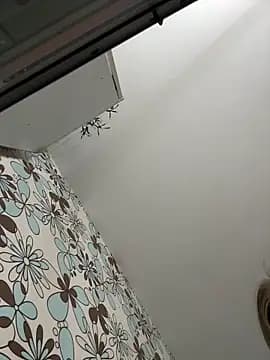 adel_secret live cam