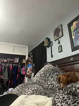 sweetkacibaby live cam