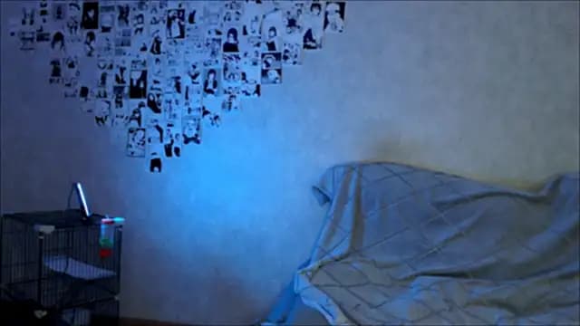 AnnaVibeTim live cam