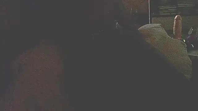 liandragostosa live cam