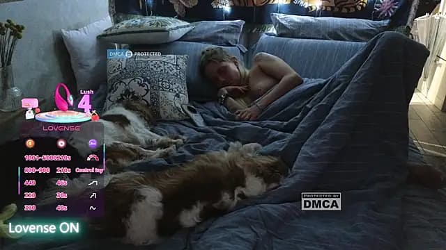 GoodGirl0024 live cam on Stripchat