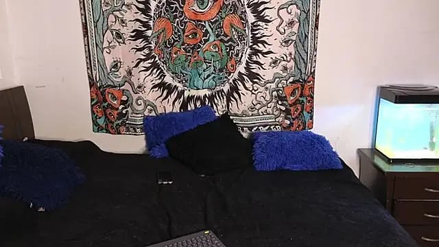 tony_and_sophia live cam