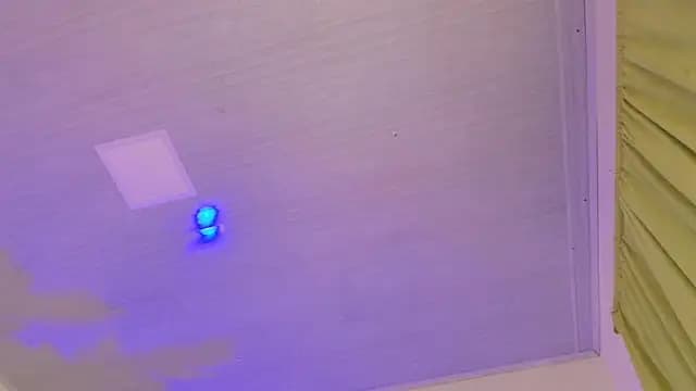 Pammela_Smith live cam