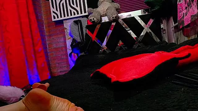 nova_kitttyy live cam on Stripchat