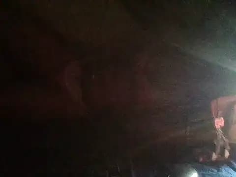 Sweetbaby004 live cam