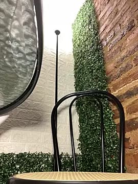 salome_Bri live cam on Stripchat