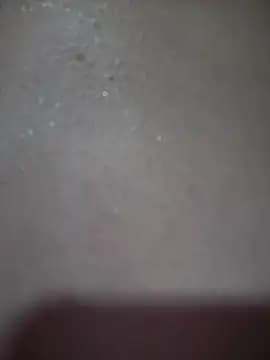 Isabella_gaviria live cam