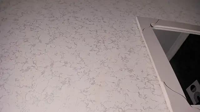 teylor_lovee live cam