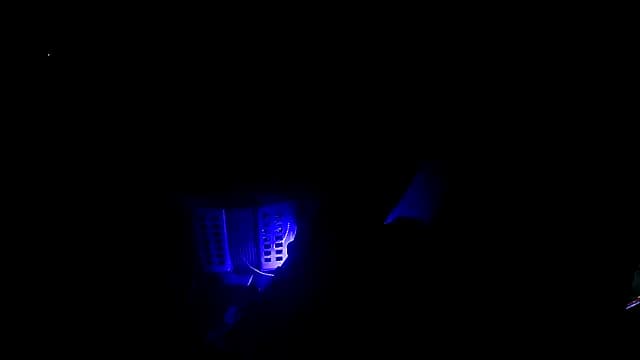 Bi_curious86 live cam