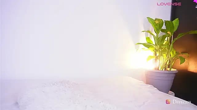 daycass_ live cam