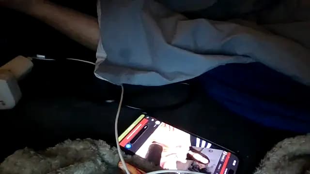 BodenseeSNG live cam