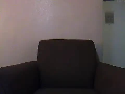 SmokingSloth live cam