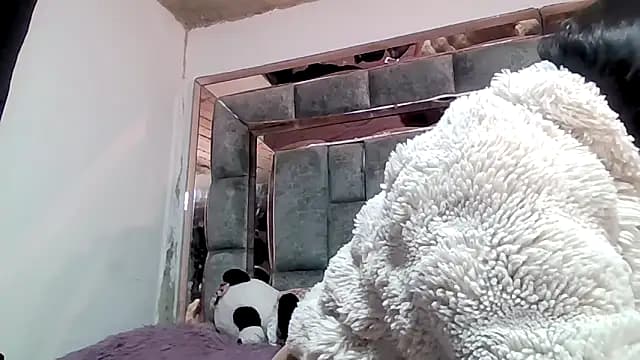 missashlyrosette live cam