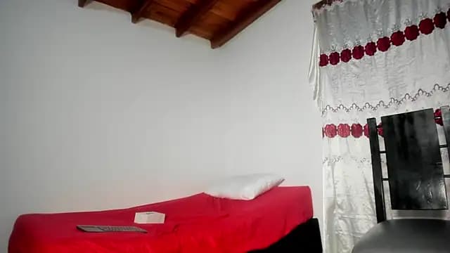 Vlad__night live cam on Stripchat