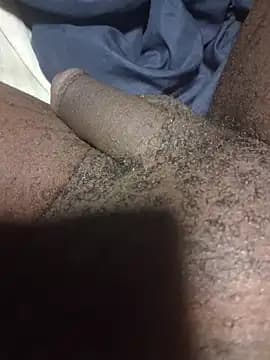 Cbelite1 live cam on Stripchat