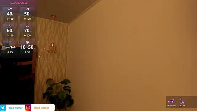 Brad_Summer live cam
