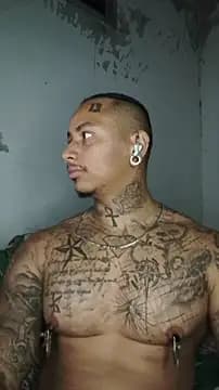 David_tatto1 live cam on Stripchat