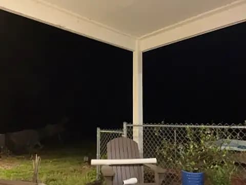 Countrypnp13 live cam on Stripchat