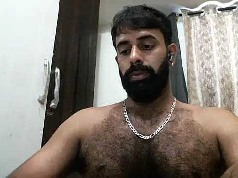 indianhairybull live cam