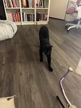 rileylovesyou live cam