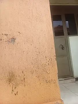 PatriciaVen live cam