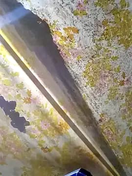 Cogelonregio live cam on Stripchat