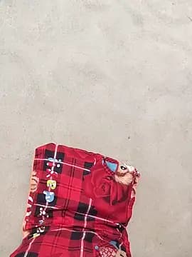 Sukem-mut live cam on Stripchat