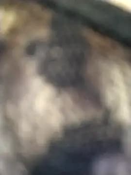 lucerocutte live cam