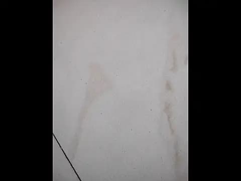 raj0592 live cam on Stripchat