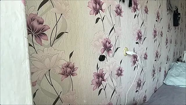 AnnaWasp live cam on Stripchat