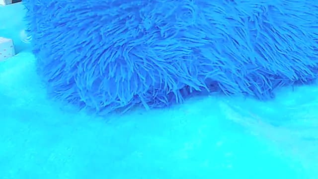 musa_levass_happy live cam on Stripchat