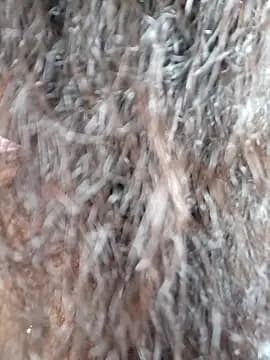 hornyriyanka live cam