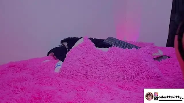 celestte_evans_1 live cam