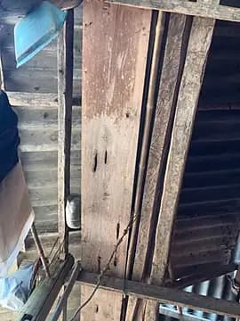 July_sexy69 live cam