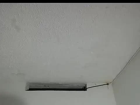 peytonbrunette live cam