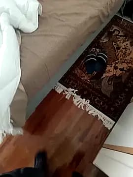 vang8 live cam on Stripchat