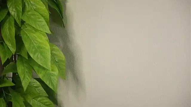 IleneDuryee live cam