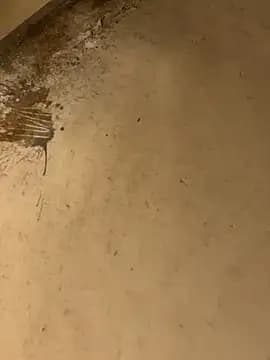 ravirishi1122 live cam